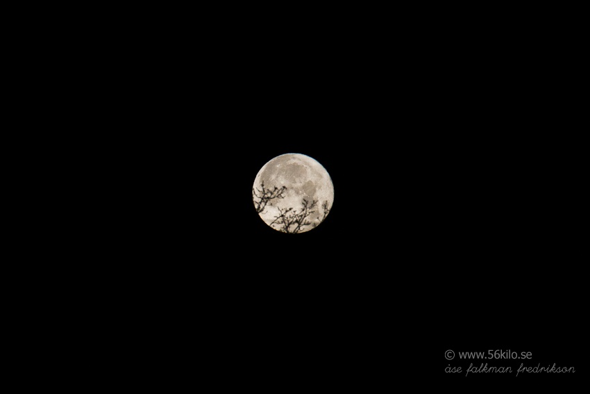 srpski dejting sajt recept